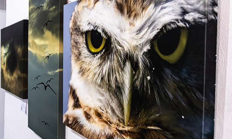 Museu Conceição de Itanhaém recebe exposição “Janelas do Olhar”