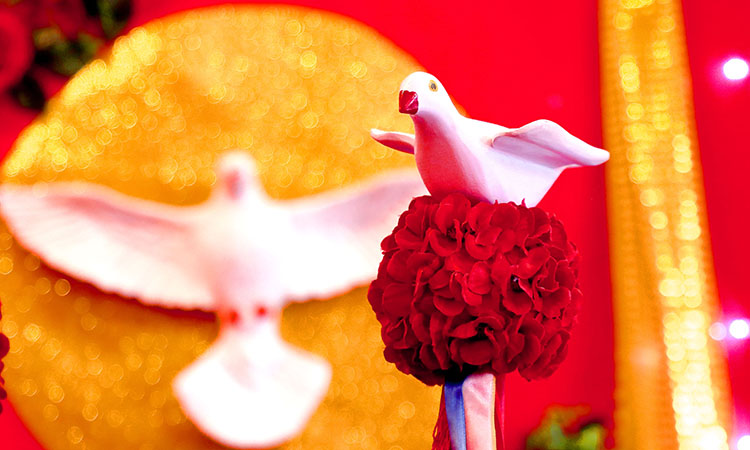 Bingo em prol da Festa do Divino em Itanhaém