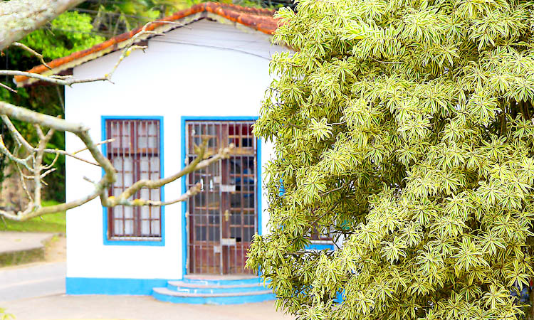 Exposição “Biografia em Poesia”