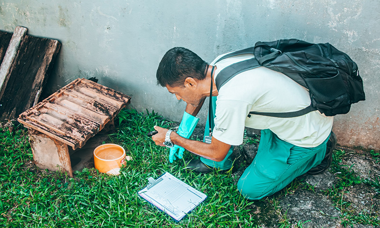 Prefeitura realizou ação contra a dengue no Suarão em Itanhaém